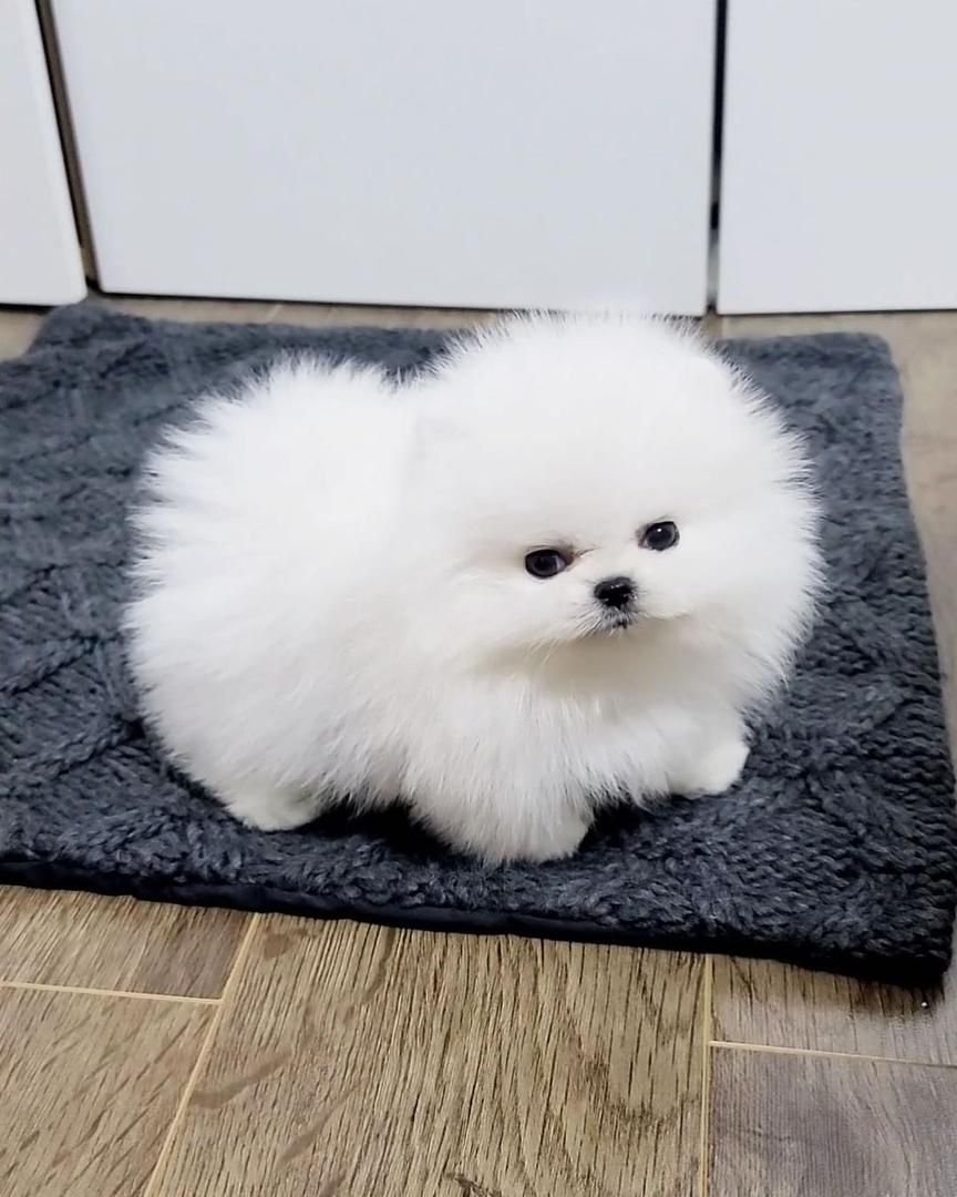 WhatsApp Image 2025-08-01 at 1.50.13 AM