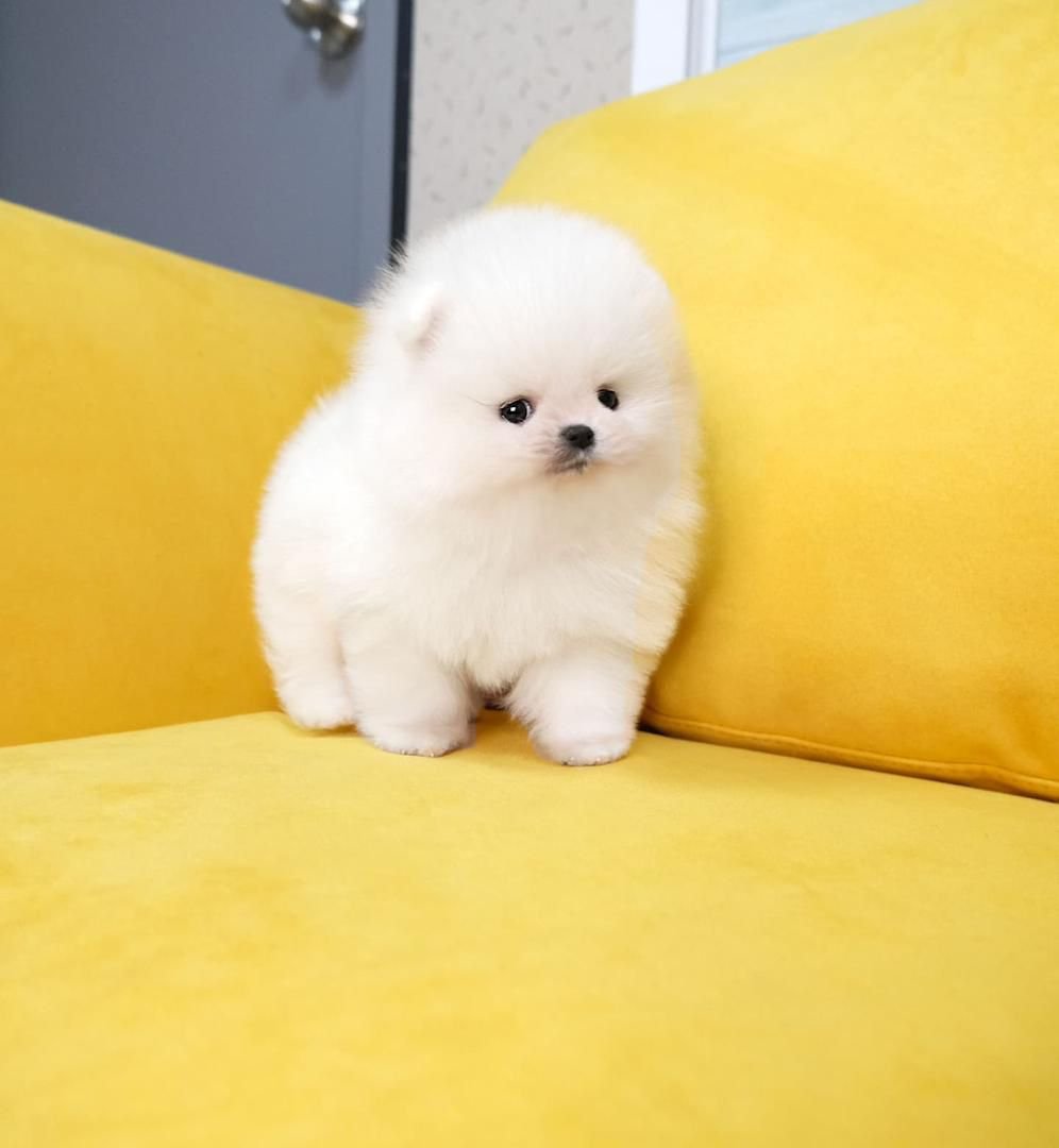 WhatsApp Image 2025-08-01 at 1.57.21 AM