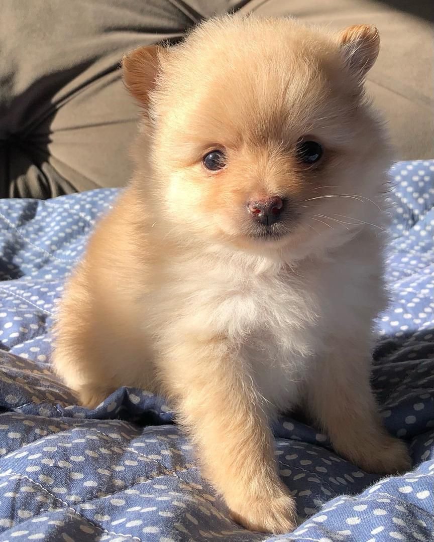 WhatsApp Image 2025-08-01 at 2.02.06 AM