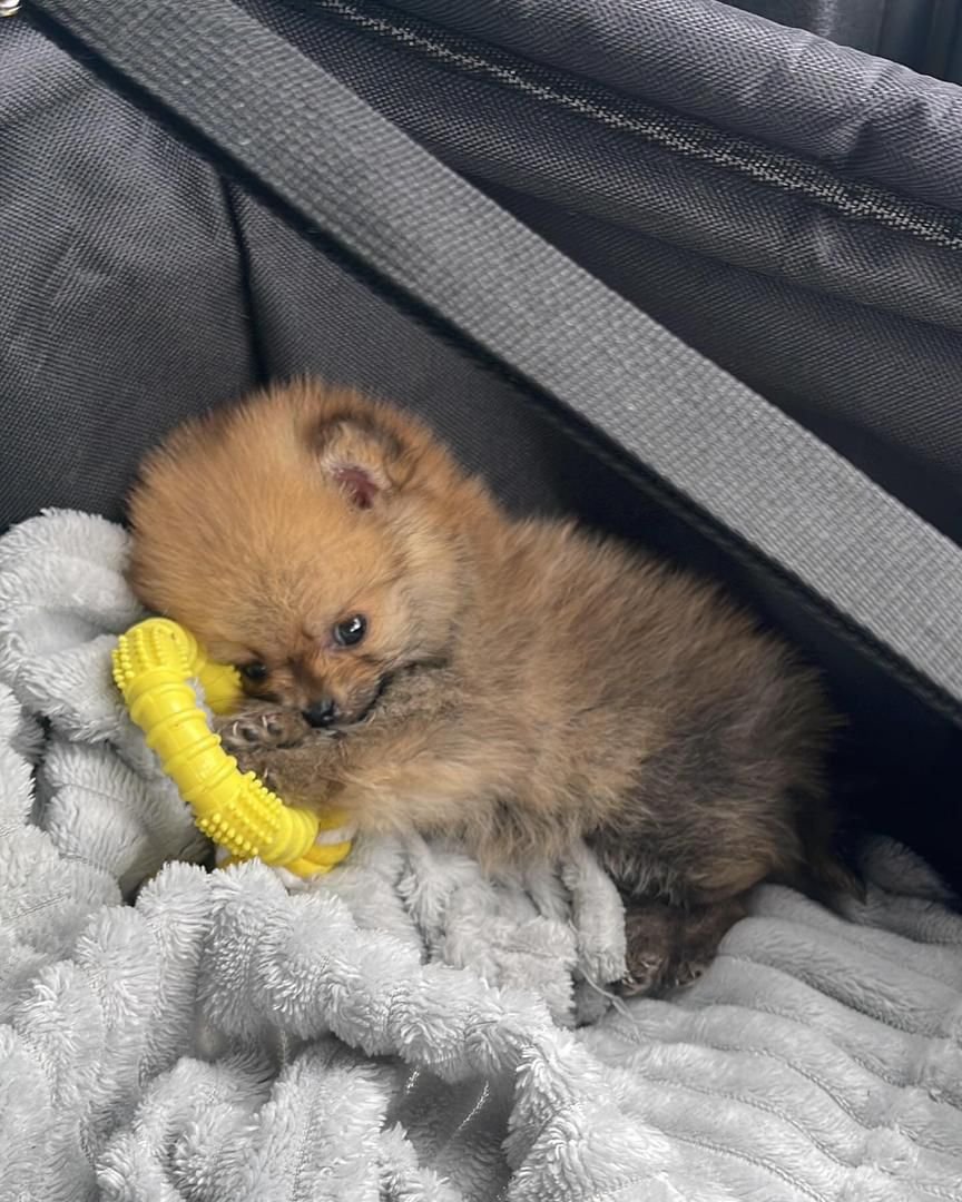 WhatsApp Image 2025-08-01 at 2.09.47 AM