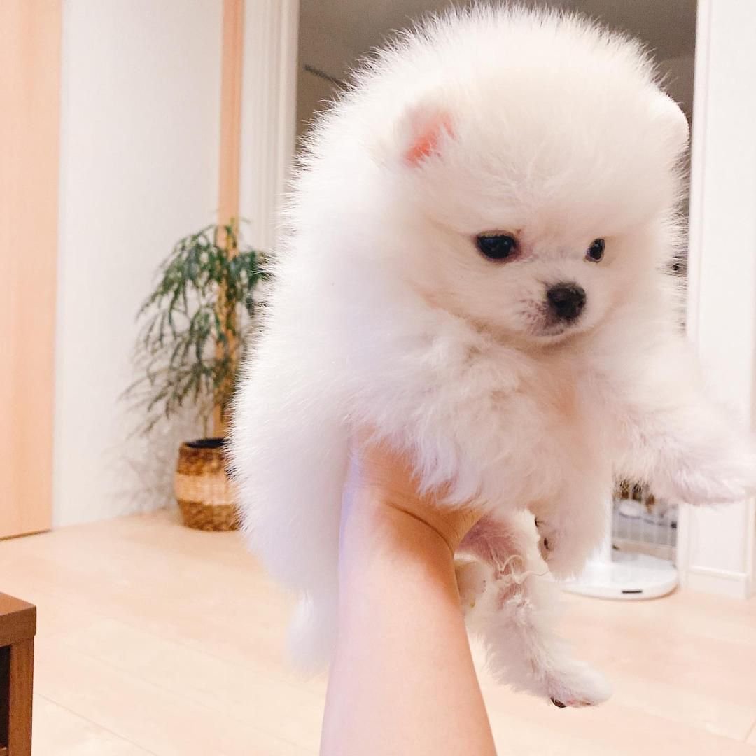 WhatsApp Image 2025-08-01 at 2.12.24 AM