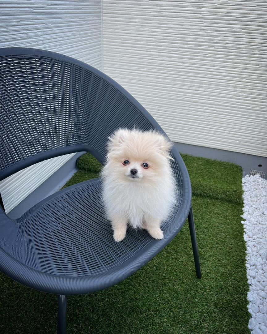 WhatsApp Image 2025-08-01 at 2.15.32 AM