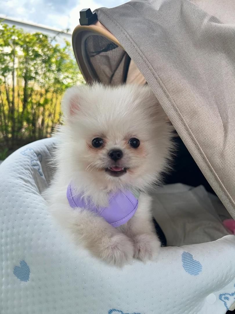 WhatsApp Image 2025-08-01 at 2.20.00 AM