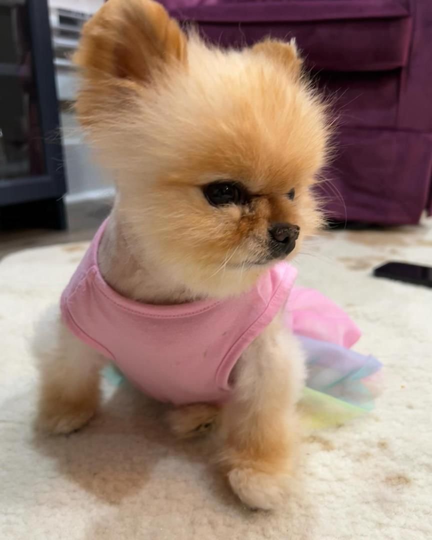 WhatsApp Image 2025-08-15 at 7.13.34 AM