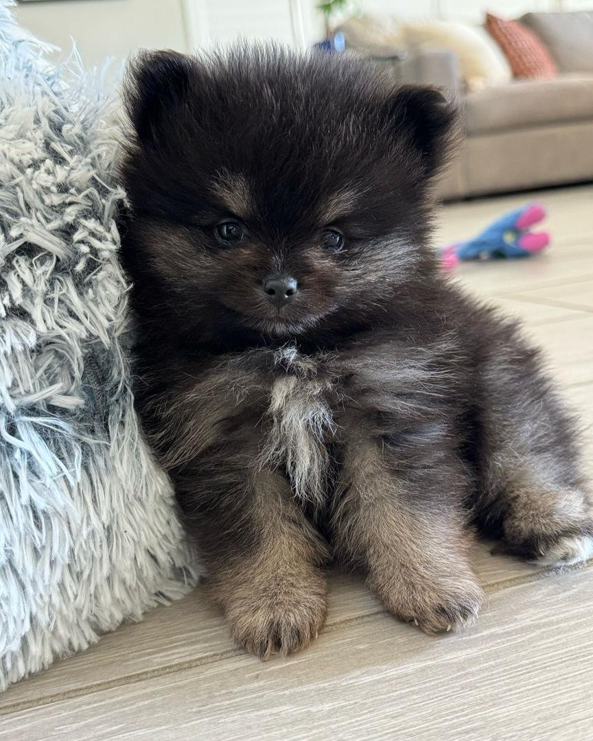 WhatsApp Image 2025-08-15 at 7.17.05 AM