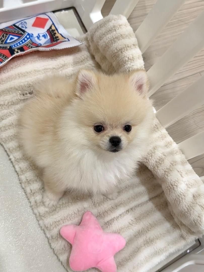 WhatsApp Image 2026-01-19 at 7.32.46 AM