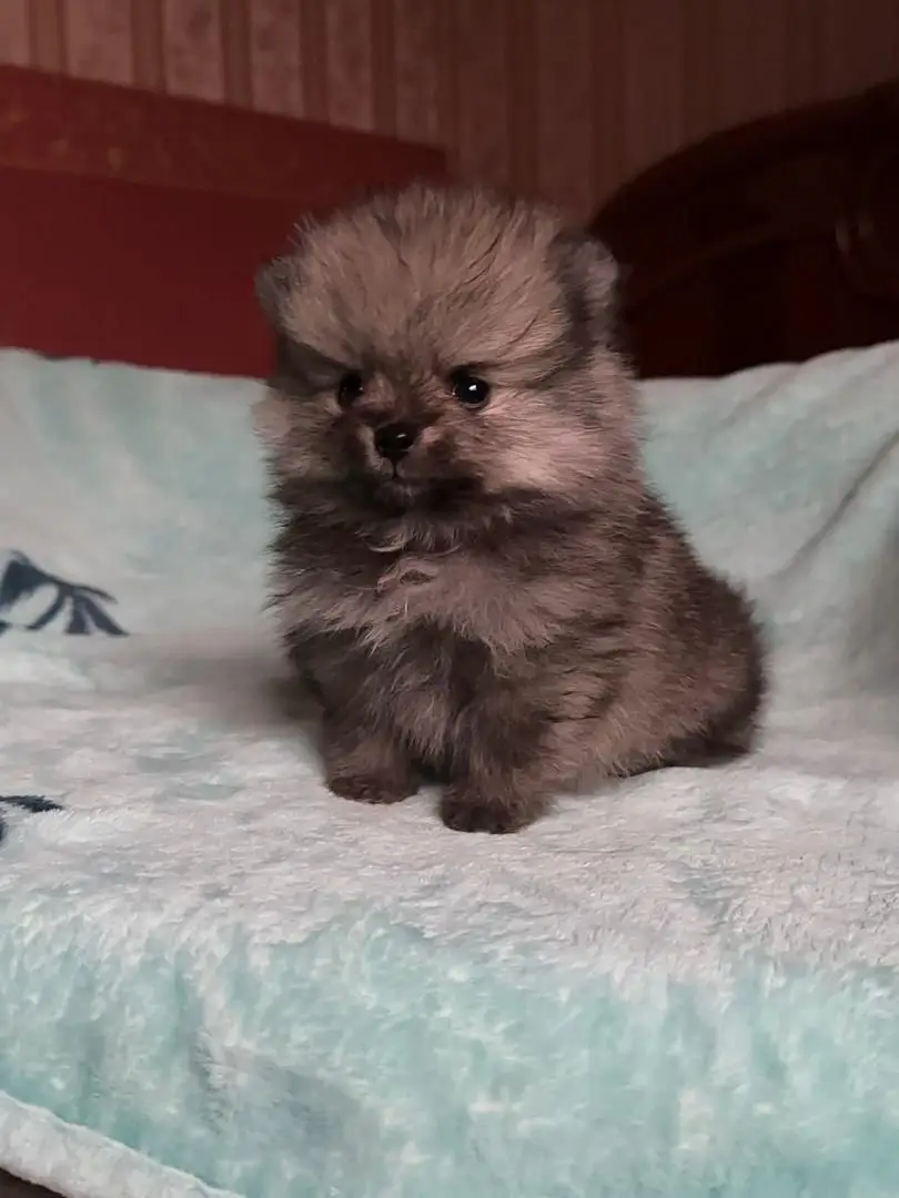 WhatsApp Image 2026-01-19 at 7.36.16 AM