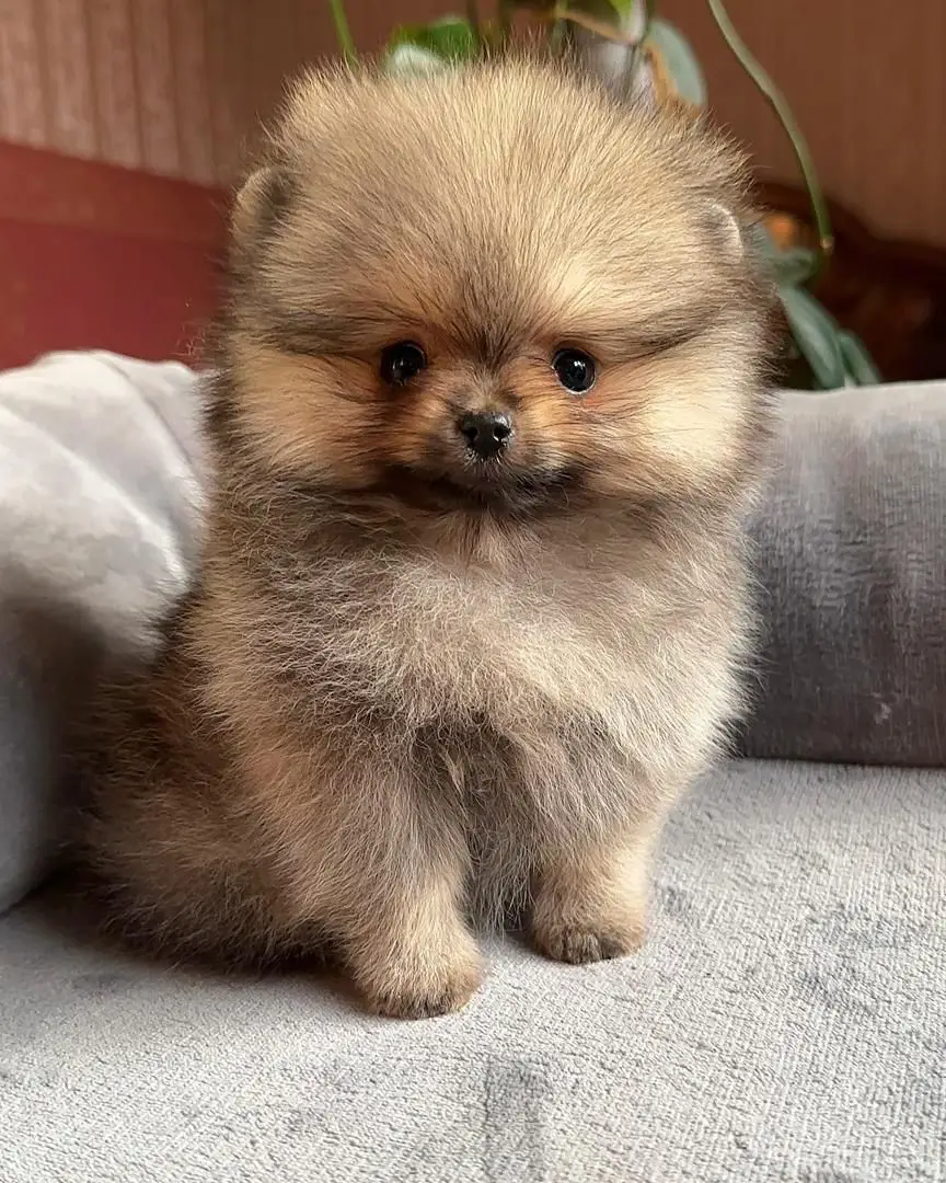 WhatsApp Image 2026-01-19 at 7.37.07 AM