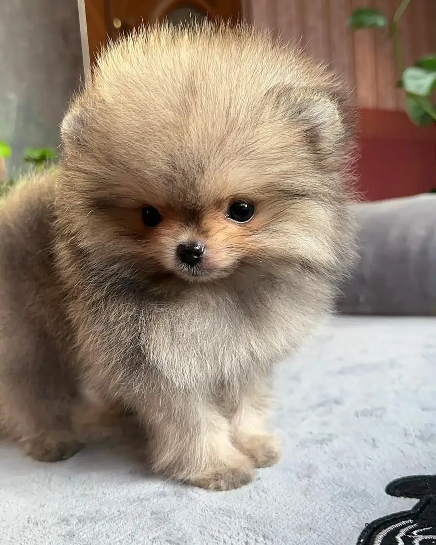 WhatsApp Image 2026-01-19 at 7.38.50 AM